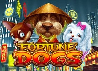 Fortune Dogs